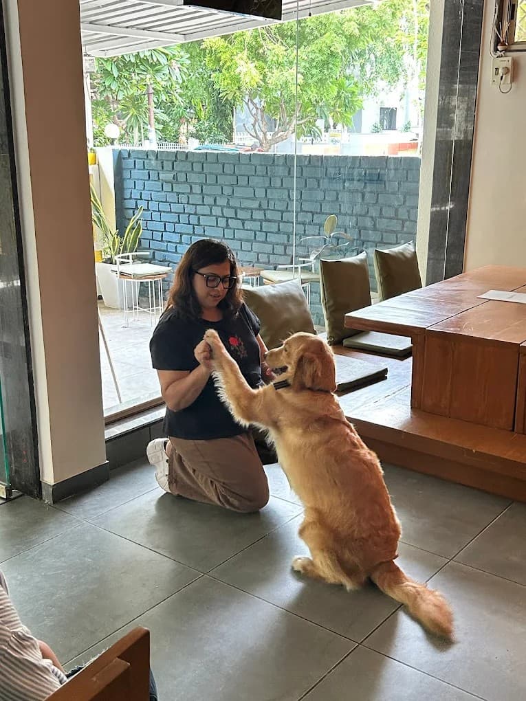 Guest high fiving a golden retriever inside the cafe