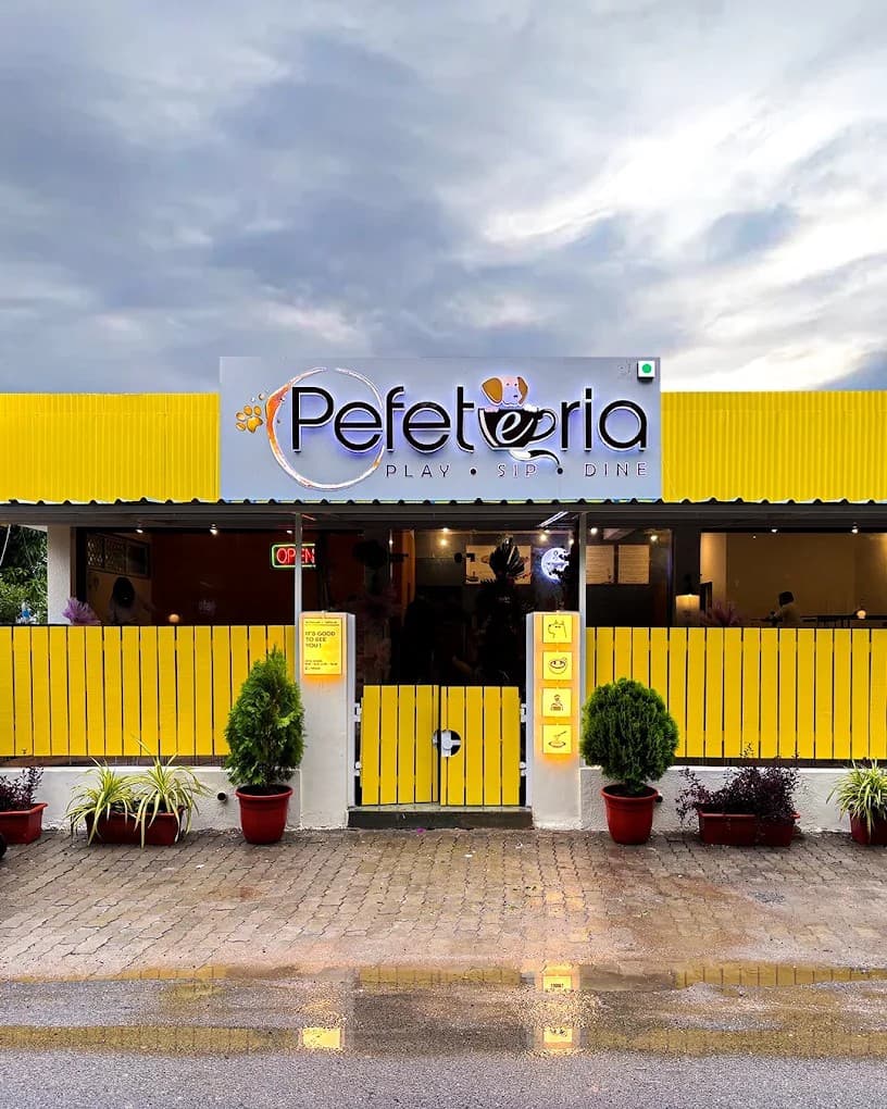 Guest holding a fluffy dog at Pefeteria