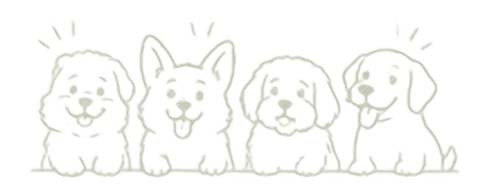 Meet our four furry hosts